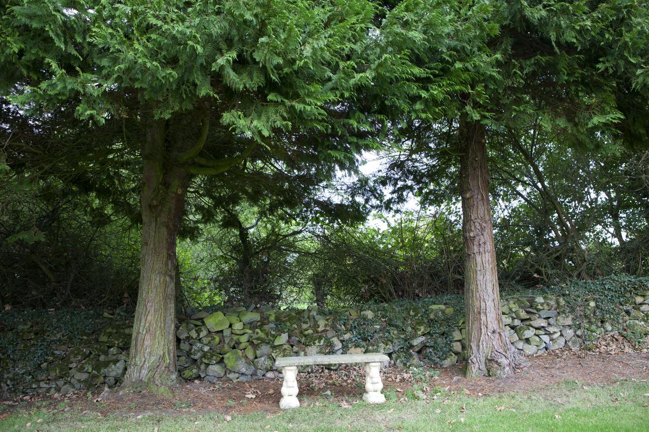 St Kyrans Guest House Virginia Exterior foto